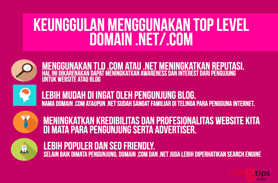 keunggulan menggunakan domain .com dan .net