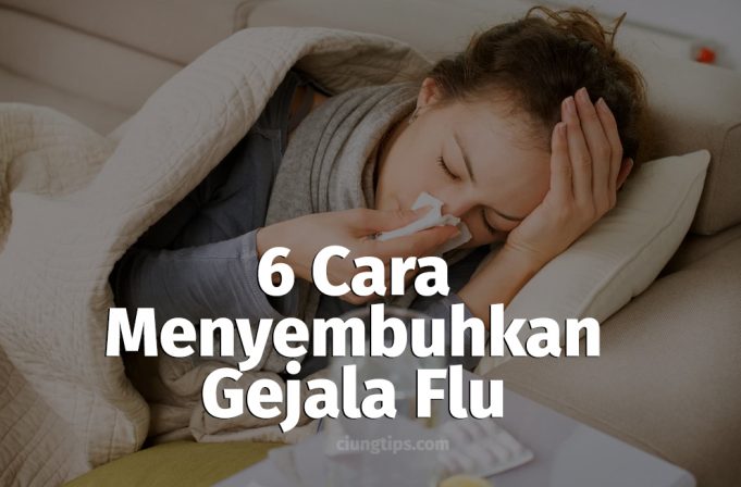 gejala flu