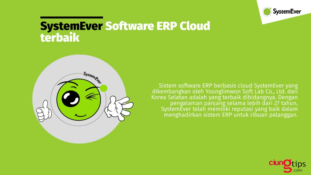 systemever erp terbaik