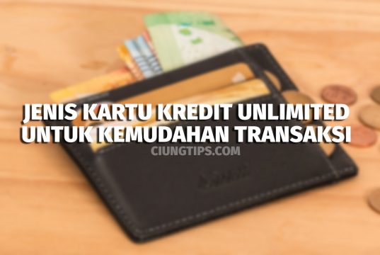 Jenis Kartu Kredit Unlimited untuk Kemudahan Transaksi