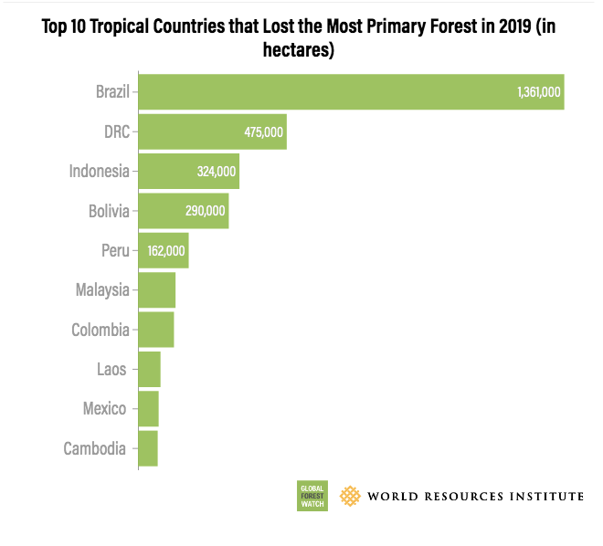 deforestasi hutan di Indonesia