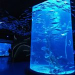 Jakarta_aquarium
